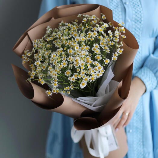 Mini daisies 💛🤎
