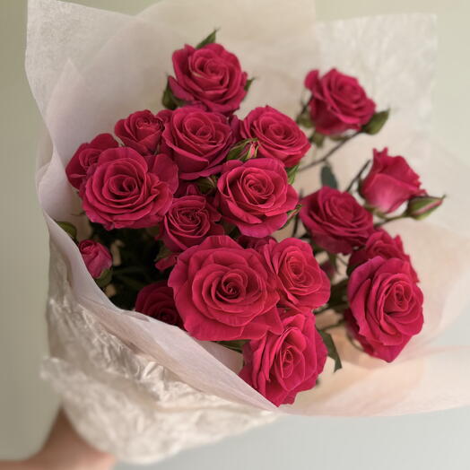 Cherry Spray Rose