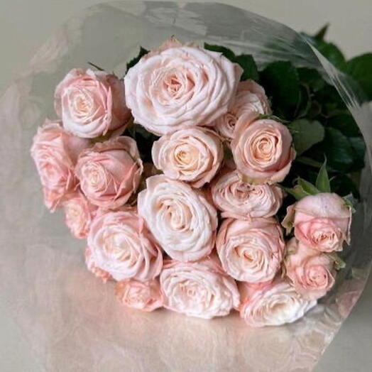 Пачка кустовых роз «МАДАМ БОМБАСТИК» (10 штук) 💗💗💗