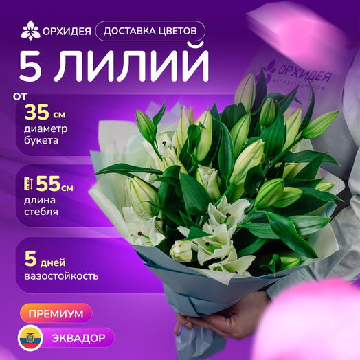 5 белых лилий