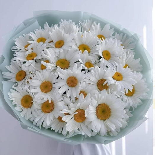 Крупные ромашки
