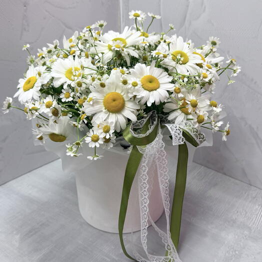 Ромашки в бархатном поле 🤩🤩🤩 ко дню семьи и верности 💝