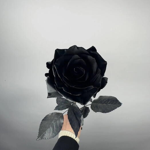 Роза черная 🖤