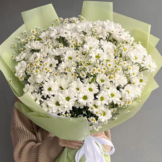 Ромашковый рай 💐