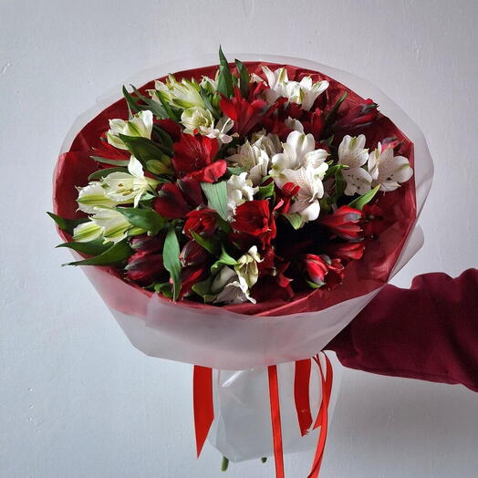 Букет из красных и белых альстромерий (11 шт.)