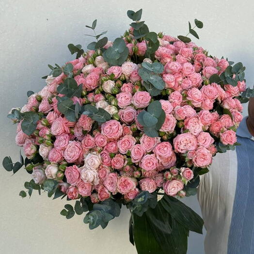 🌸 Maison Blush