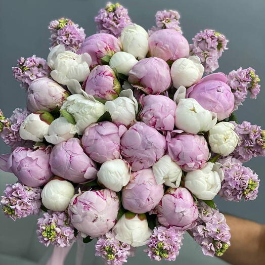 🌸 Maison Sarah Blush