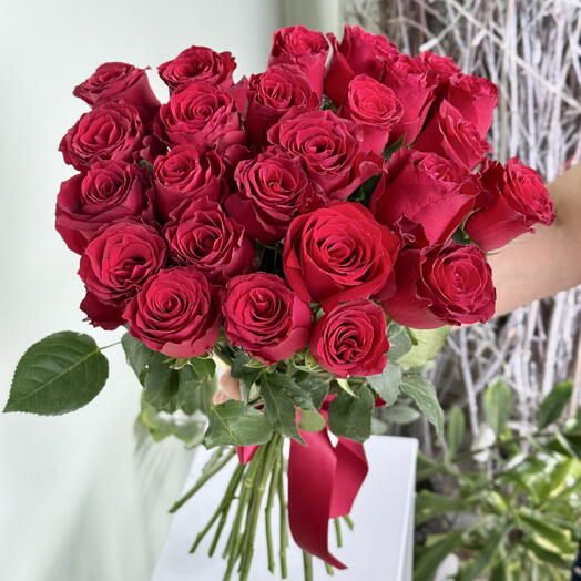 Красные розы 25шт(60см)