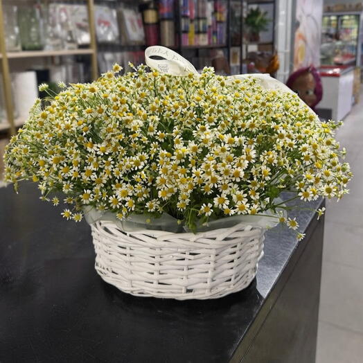 Корзина с ромашками L