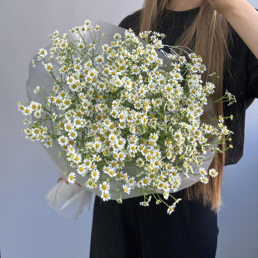 Монобукет из 15 веток ромашек в упаковке 🌼