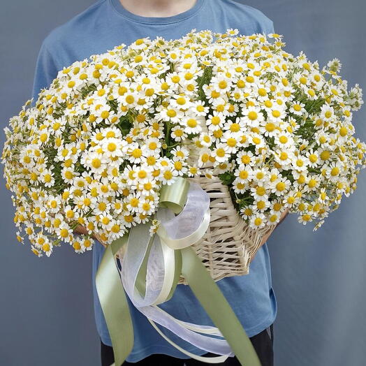 Корзина с ромашками