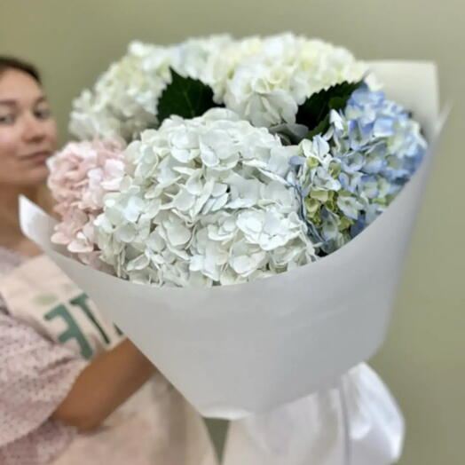 Букет из разноцветных гортензий 5 шт (розовая, голубая, белая)