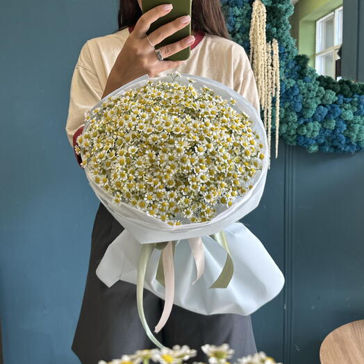 Букетик ромашек☺️🌼