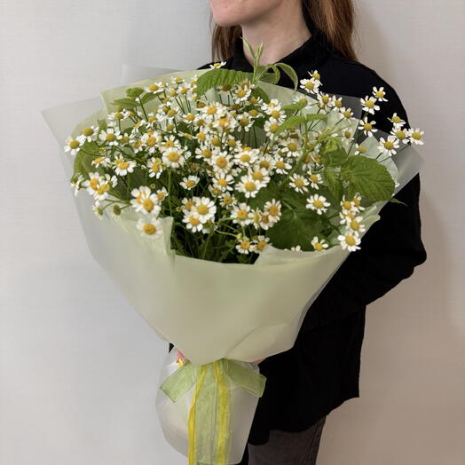 Букет из кустовых ромашек ( танацетум) и веточек малины