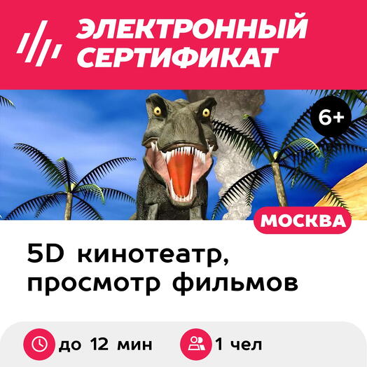 Подарочный сертификат Просмотр 2 VR-фильмов до 10 мин. каждый в 5D-кинотеатре, 1 чел. (ТРЦ Нора)
