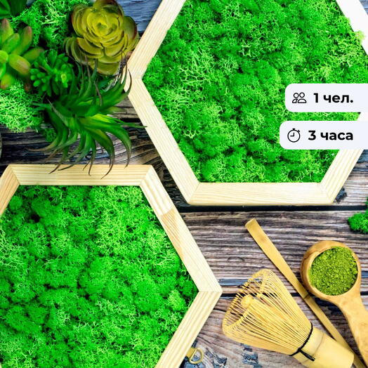 Зеленое панно.  Фитопанно со стабилизированными мхом