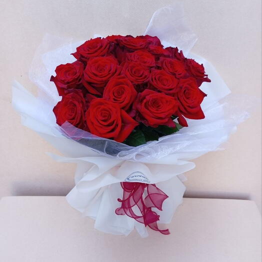 23 Holland 🌹 Raffaello