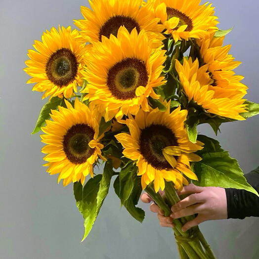 🌻 подсолнух