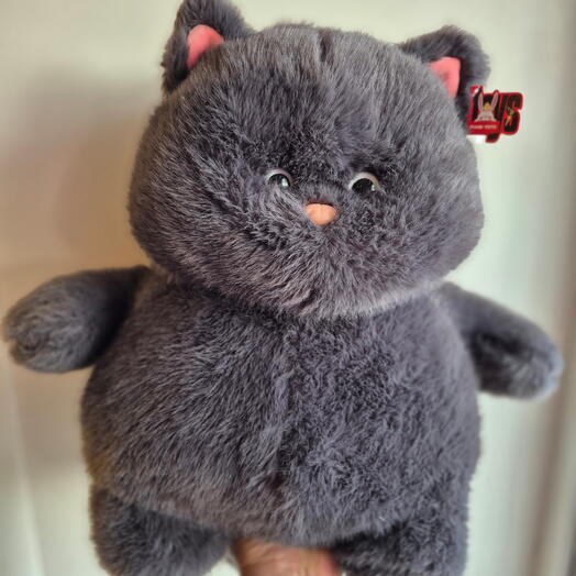 Кот Базилик