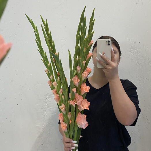Гладиолусы яркие и коралловые 🌺 9