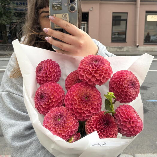 Шикарные георгины