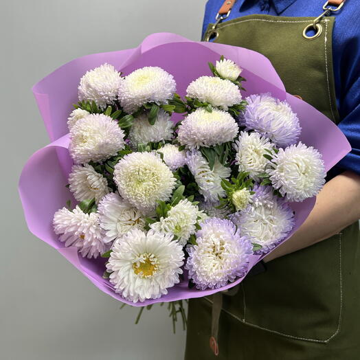 Сиреневая кустовая Астра