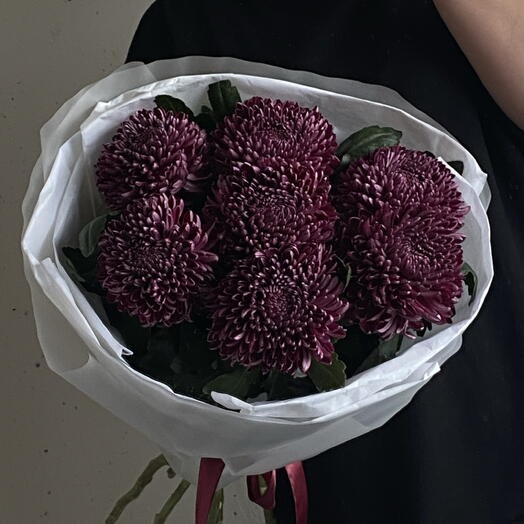 Сезонные хризантемы сорта «Бигуди» в винном оттенке в упаковке 🍇 7