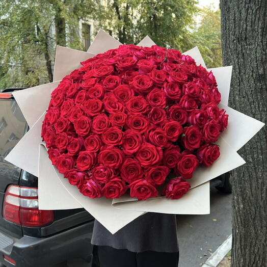 101 шикарная Роза 🌹