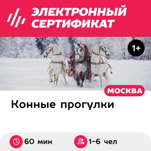 Подарочный сертификат Катание на тройке лошадей в санях или экипаже (60 мин.) (Московская область)