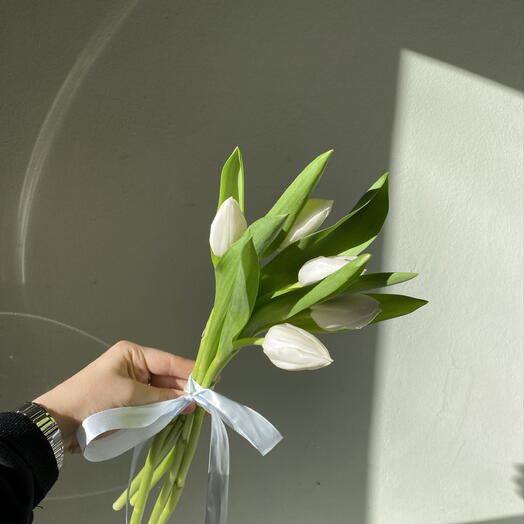 5 тюльпанов на ленте🌷