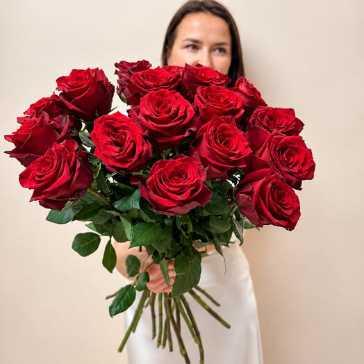 🌹 25 красных роз Эквадор на ленту