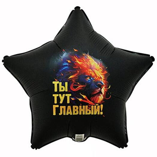 шар ты главный