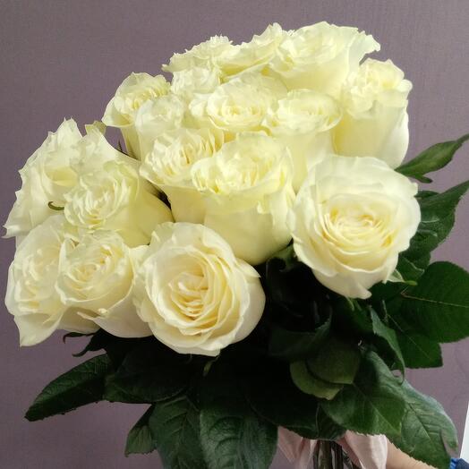 19 white high roses "Mondial" under the ribbon