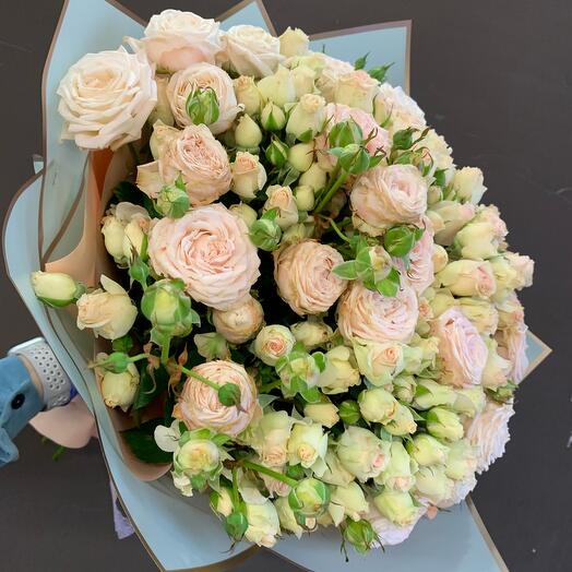 Softness