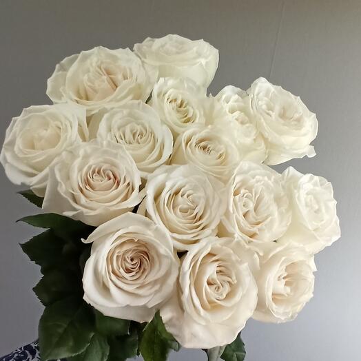 Rosas blancas (15 piezas)