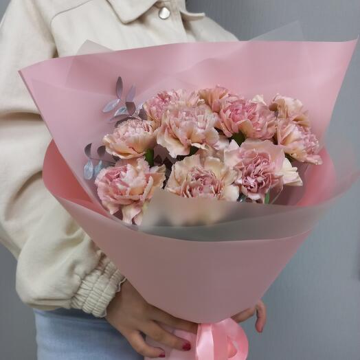 Dianthus tierna