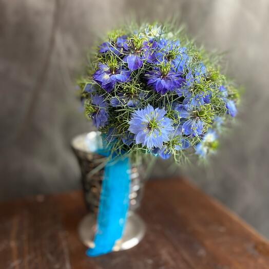 Nigella