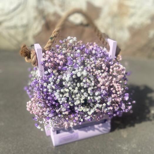 Gypsophila in the box