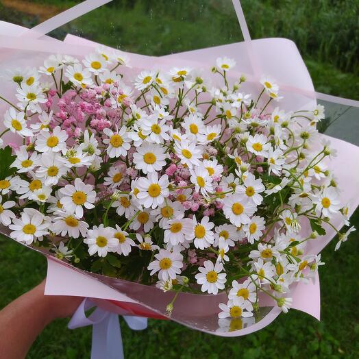 Букет из Ромашки Камилла