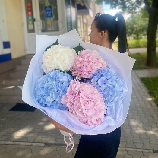Шарики мороженного из гортензии