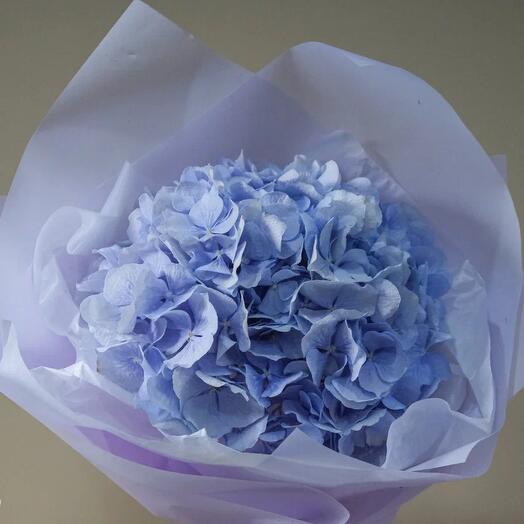 Hydrangea in a package