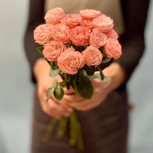 Monobucket of 5 bush roses of the Bombastic variety