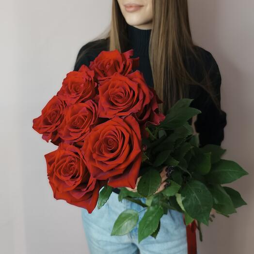 Красная роза 7 высокая премиум