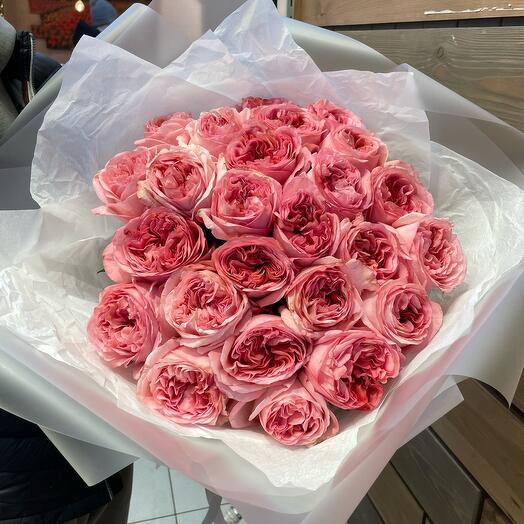 Peony Rose Pink Express