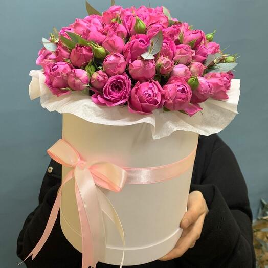 Миссти бабблс