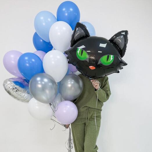 A bundle with a black cat🖤