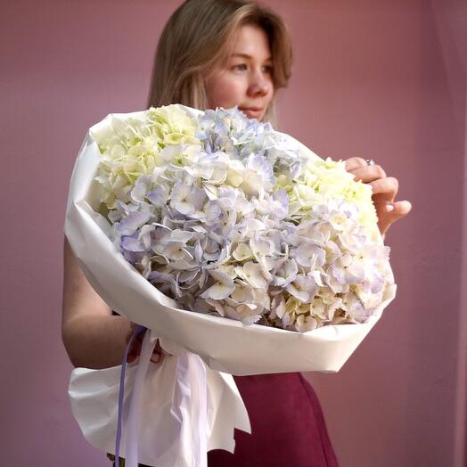 Ramo de 7 adorables hortensias en un paquete de diseño 🧚 🏻 ♀️🦋