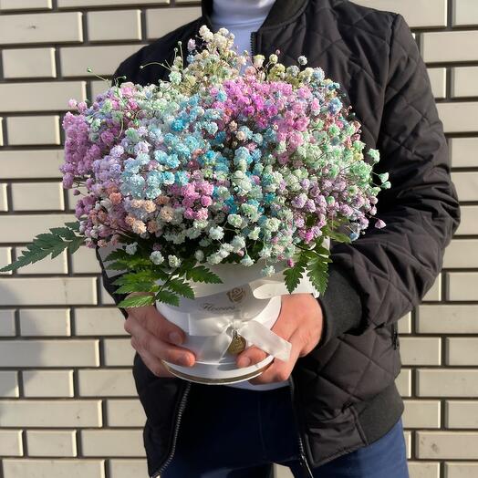 Радужная гипсофила в коробке