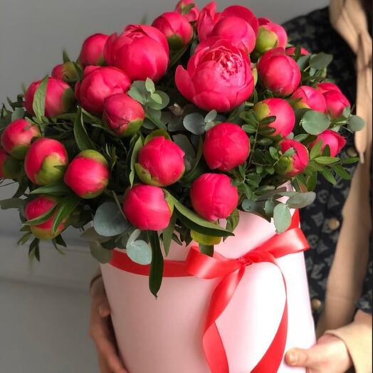 Juicy composition of 35 coral peonies