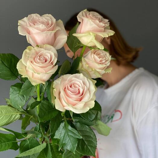 Bouquet of 5 roses